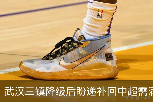 武汉三镇降级后盼递补回中超需满足三条件