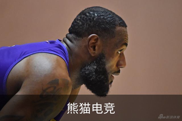 熊猫电竞公司简介